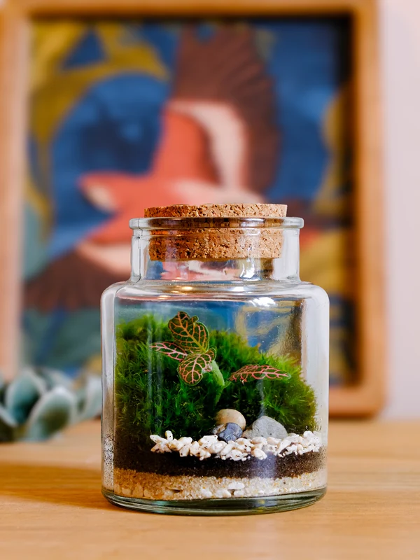 Terrarium Flowey LIMA SMALL in situ