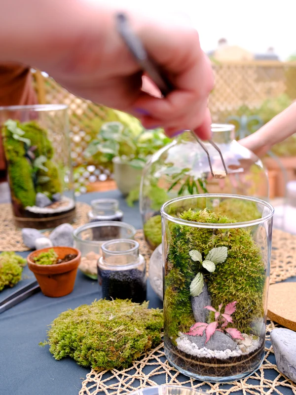terrarium atelier