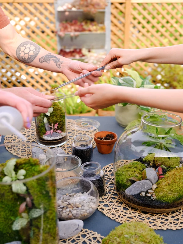 atelier terrarium isle adam